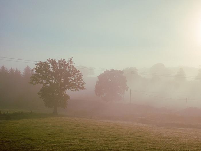 Brouillard matinal