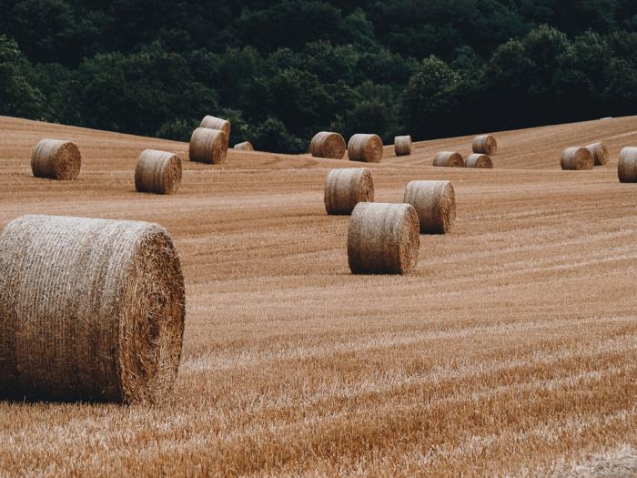 Et roule la paille…