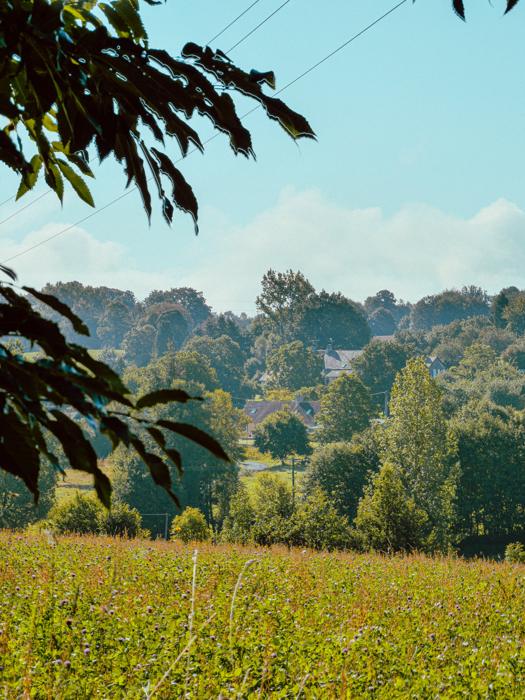 Le bocage normand