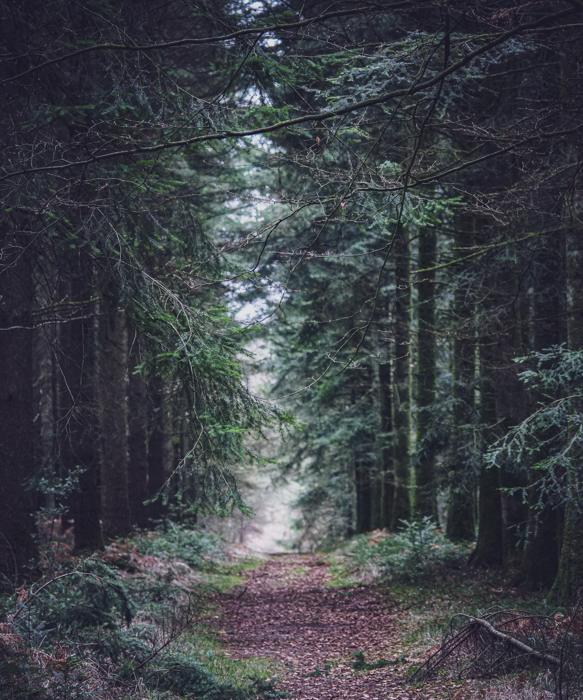 Le chemin
